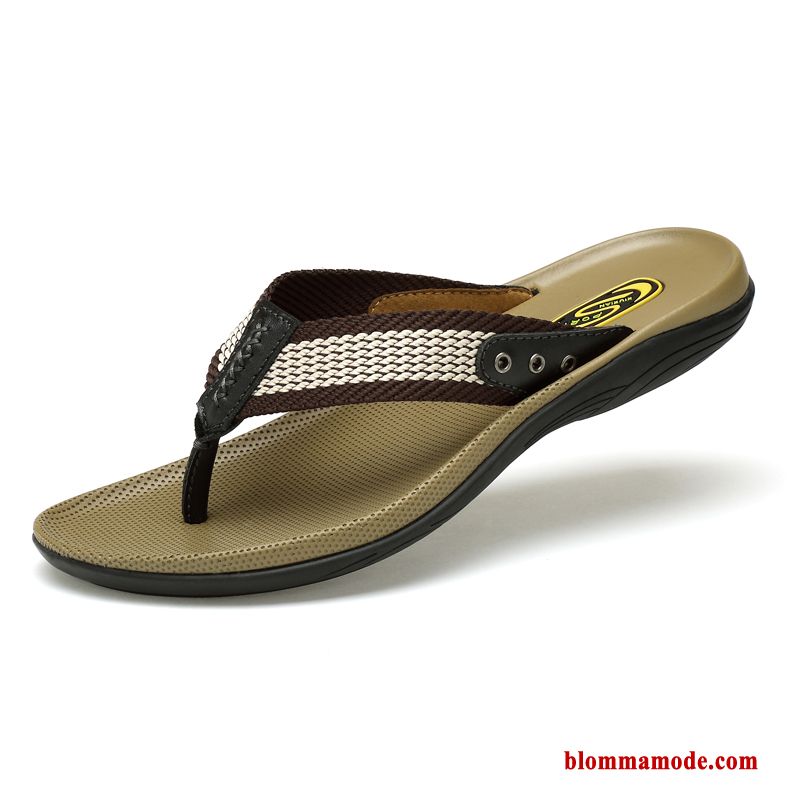 Flip Flops Mjuka 2019 Brun Tofflor Sommar Ytterkläder Herr